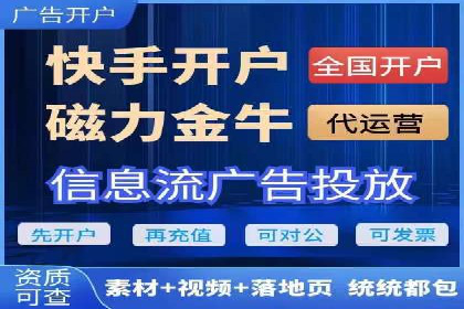 SEM托管公司案例研究：优化策略解析